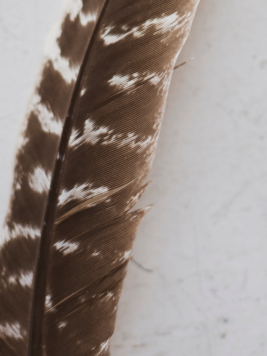 6-8 Pink Goose Feathers, PS223 – Black Moth