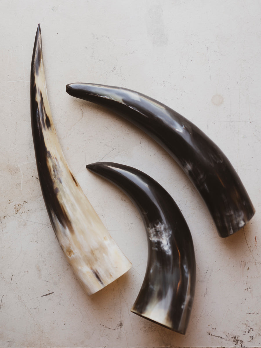 Polished Indian Water Buffalo Horn, SB400 – Black Moth