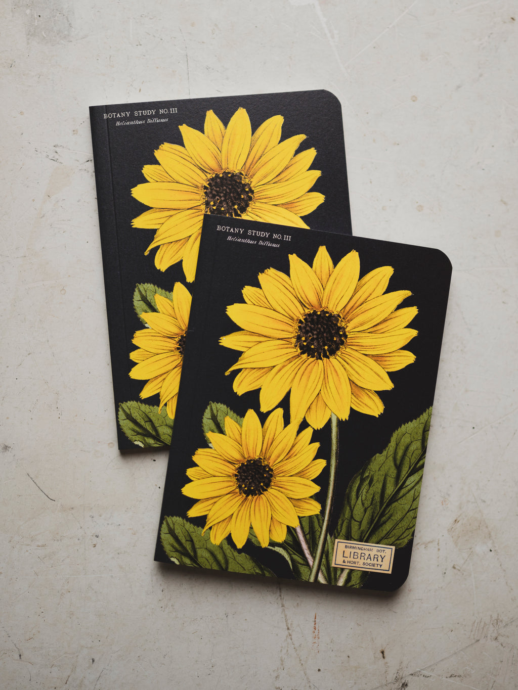 Sunflower Botany Study III Notebook, ST009