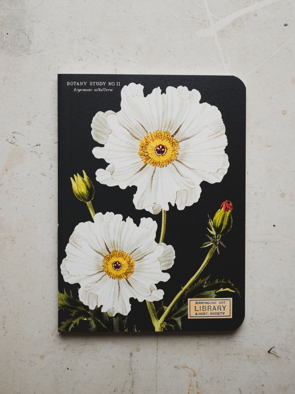 White Prickly Poppy Botany Study II Notebook, ST011