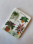 Dracaena House Plants Notebook, ST075