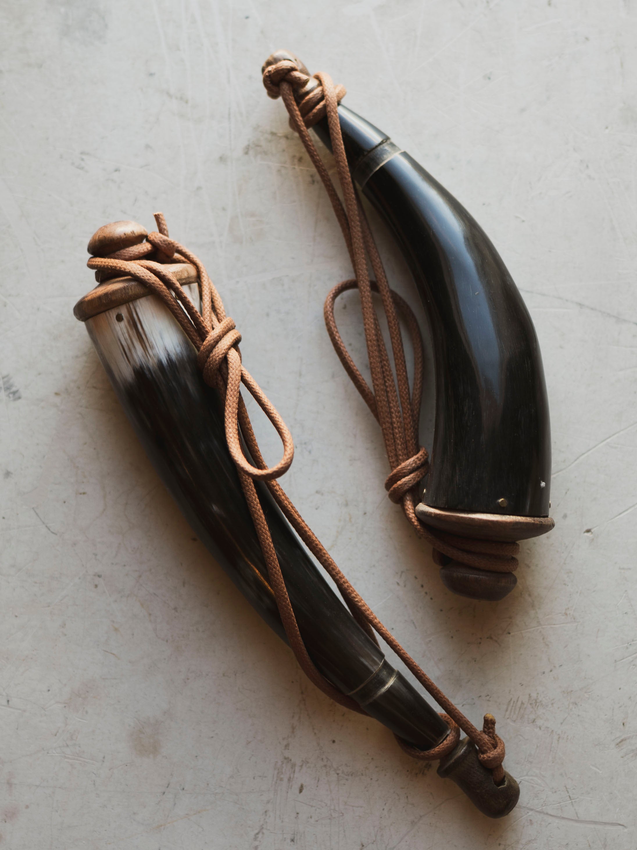 Buffalo Powder Horn, HD488