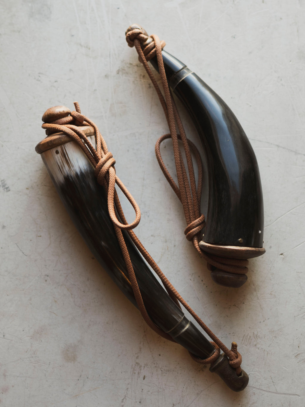 Buffalo Powder Horn, HD488