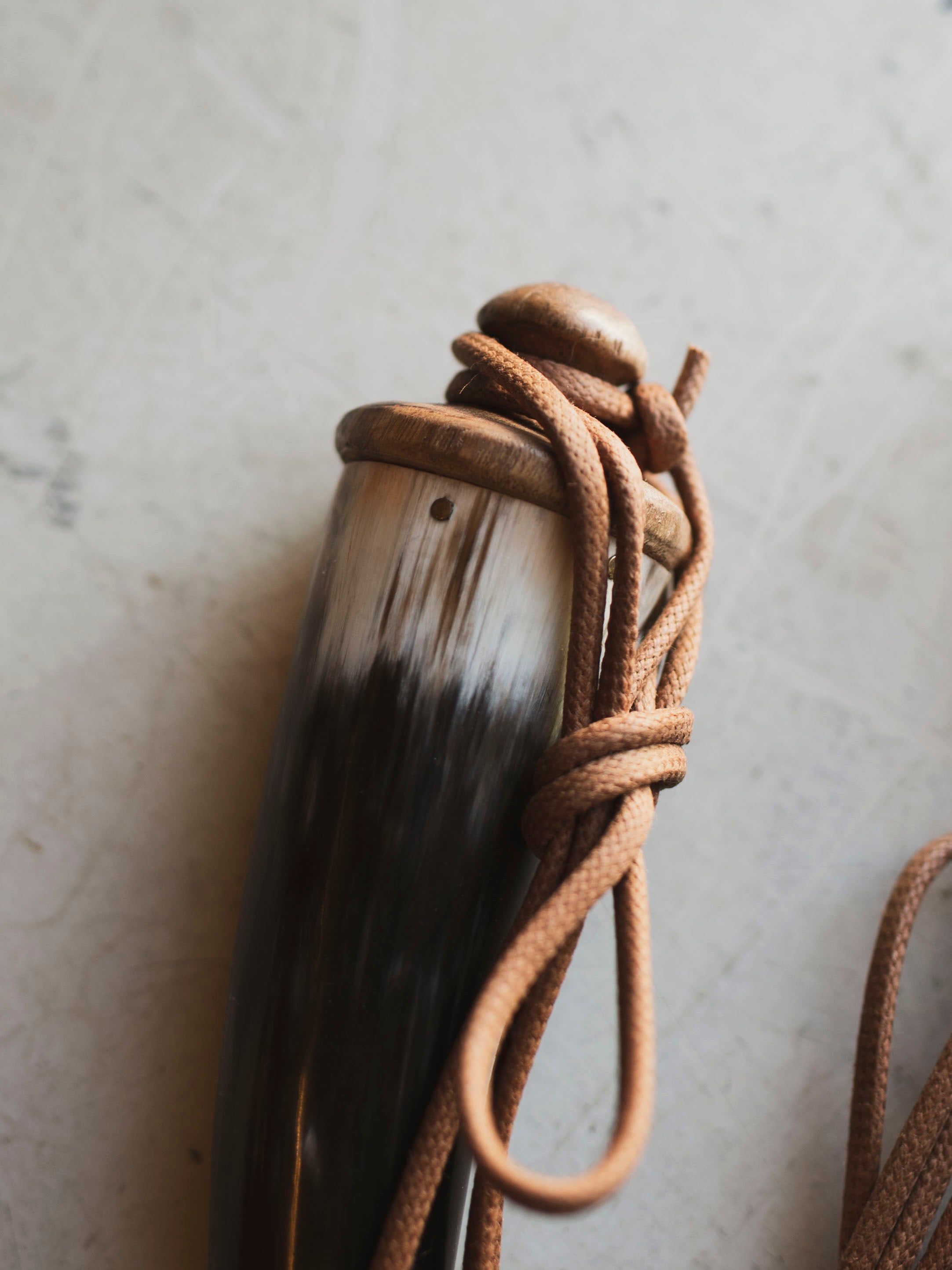 Buffalo Powder Horn, HD488