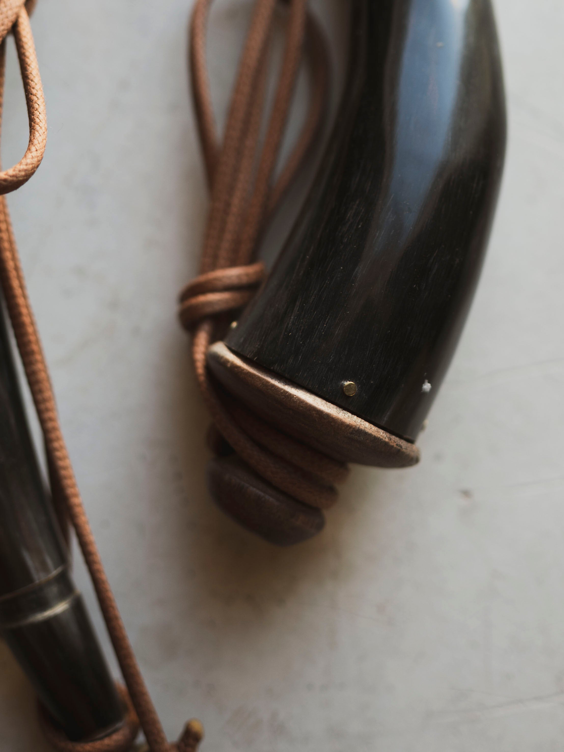 Buffalo Powder Horn, HD488