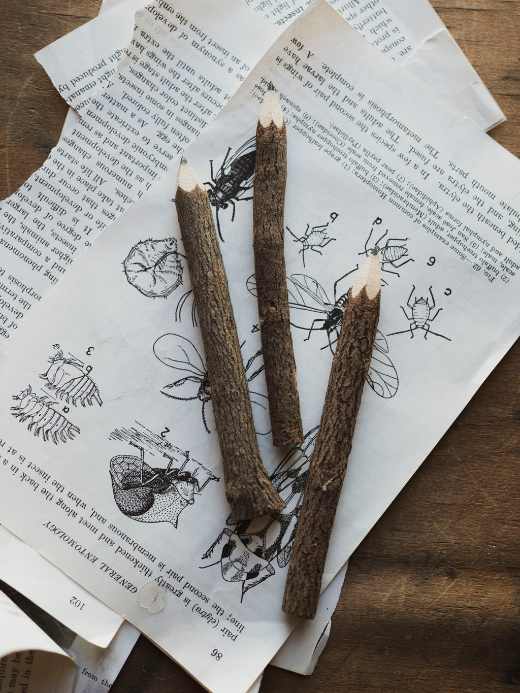 Tree Branch Pencil, ST044