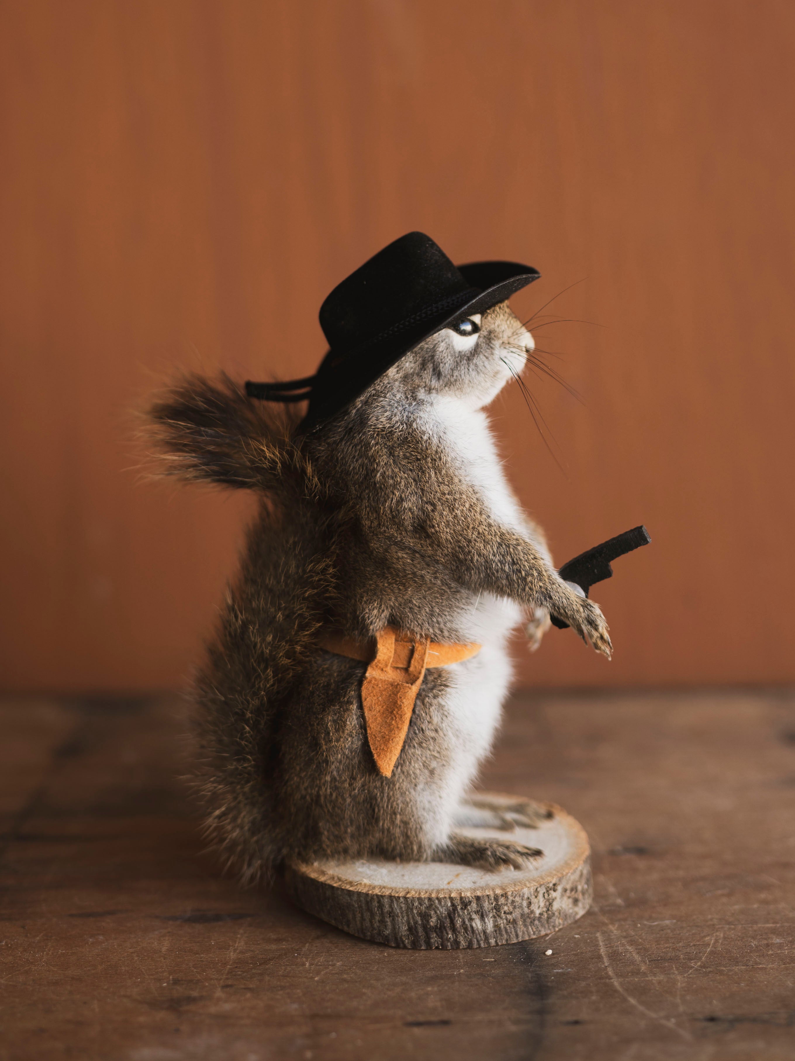 Cowboy Red Squirrel Full Body Taxidermy (Boot), TA477