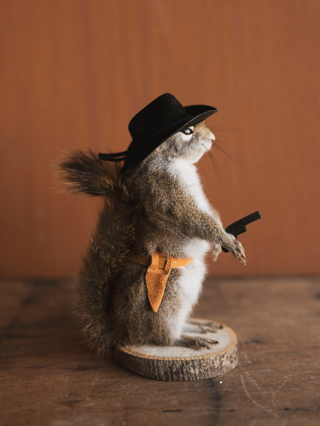 Cowboy Red Squirrel Full Body Taxidermy (Boot), TA477