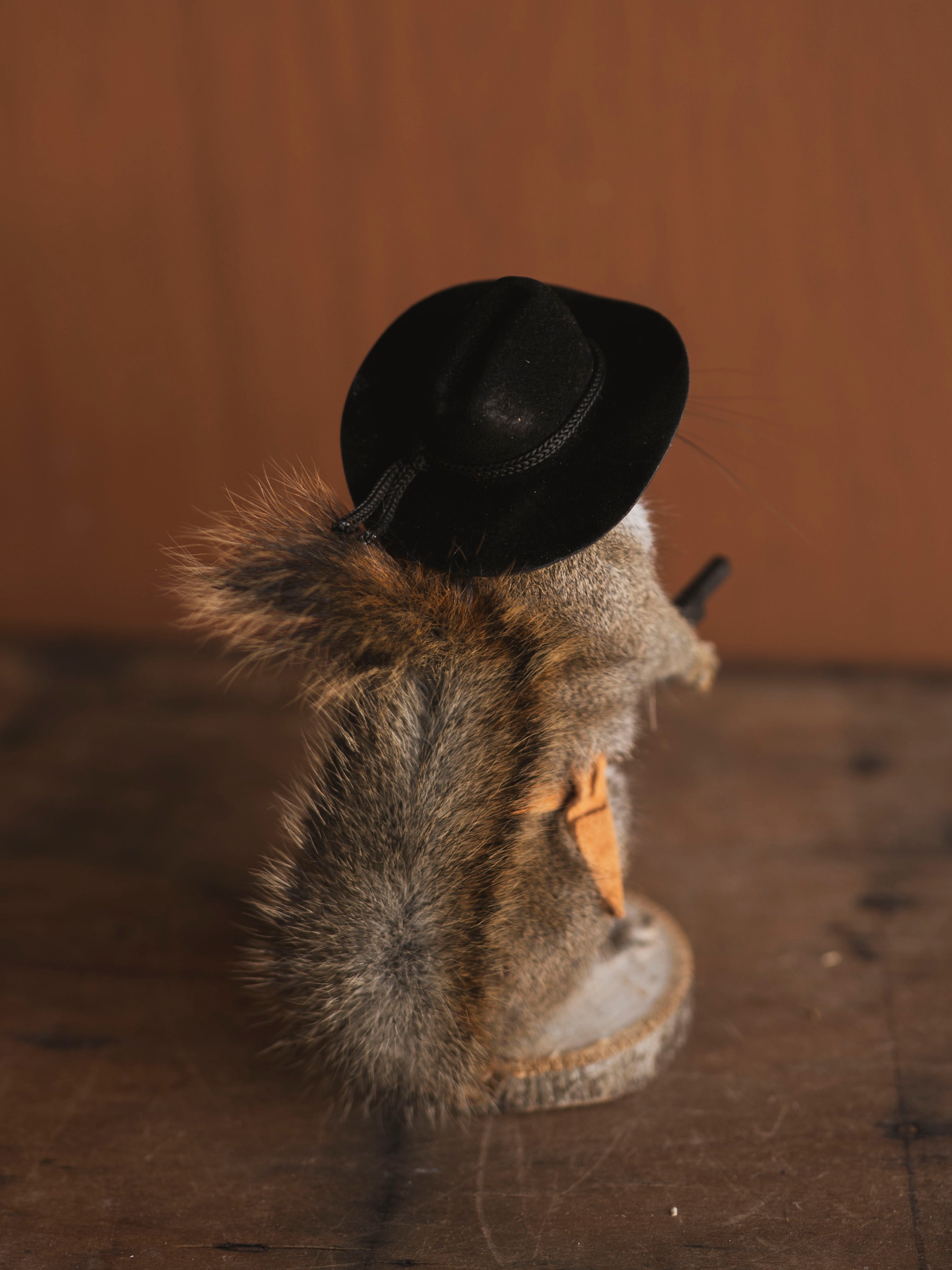 Cowboy Red Squirrel Full Body Taxidermy (Boot), TA477