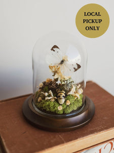 Cabbage White Butterfly and Skull-Faced Beetle In Cloche, IN78
