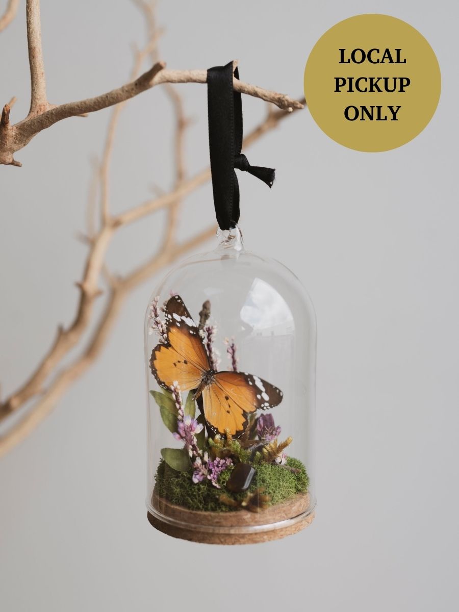 Plain Tiger Butterfly in Glass Ornament Cloche, IN535