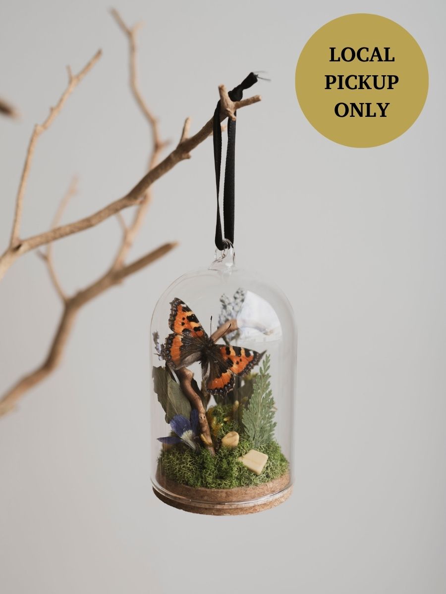 Tortoiseshell Butterfly in Glass Ornament Cloche, IN533