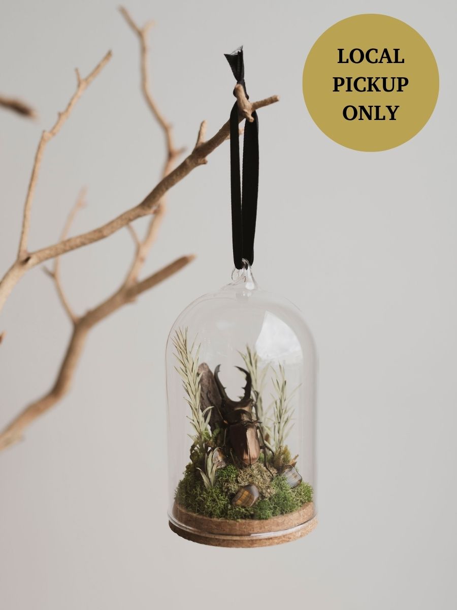 Metallic Stag Beetle in Glass Ornament Cloche, IN534