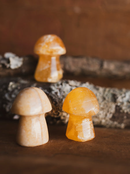 19_81_grande.jpg?v=1732049312