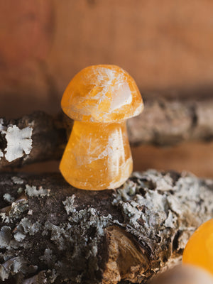 Orange Onyx Crystal Mushroom, RM452