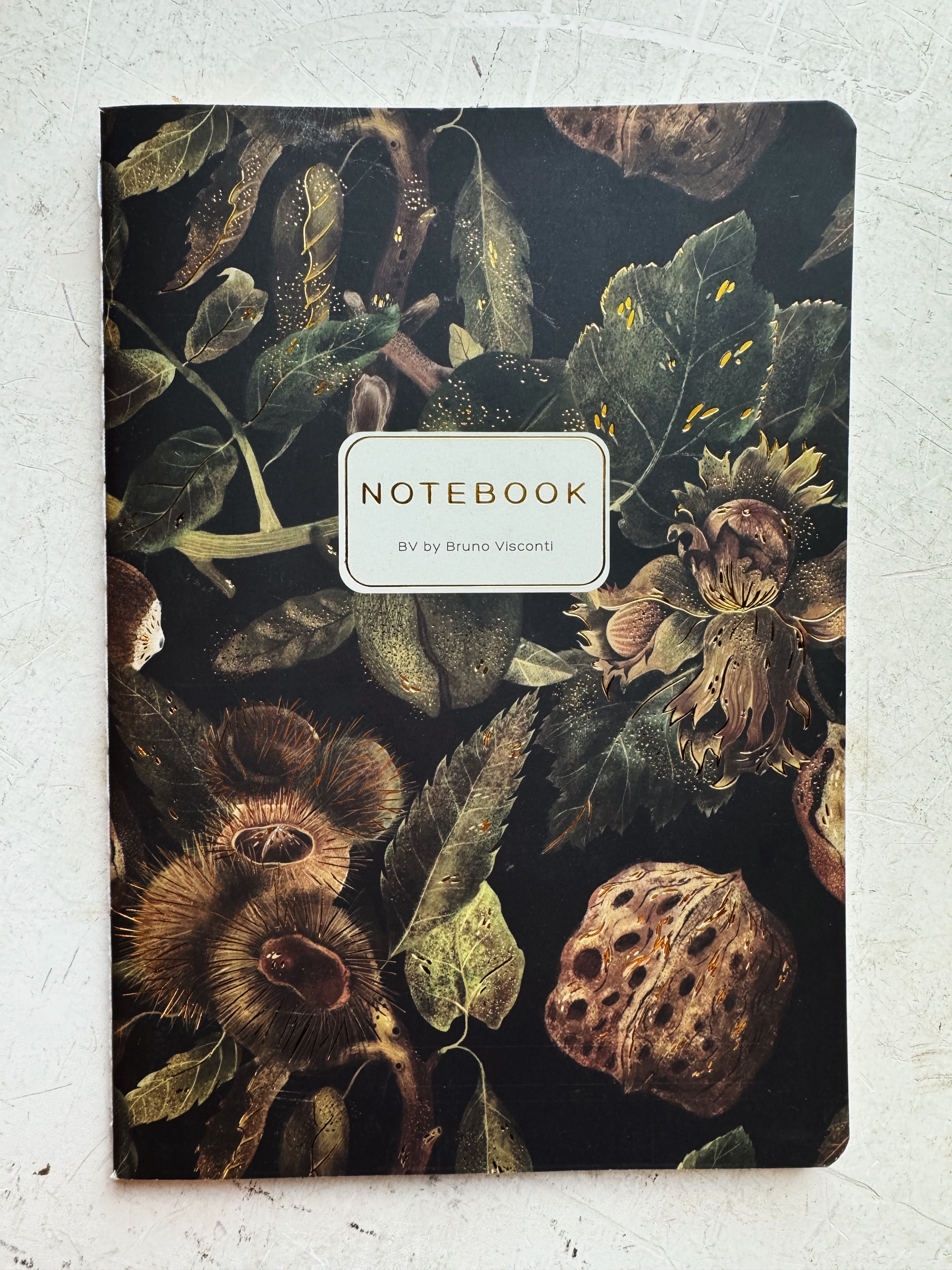 Assorted Nature Notebook, ST670