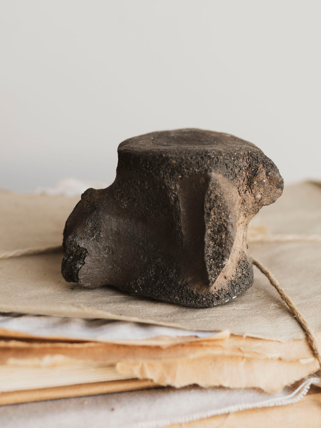 2.5" Fossilized Whale Vertebrae, RM590