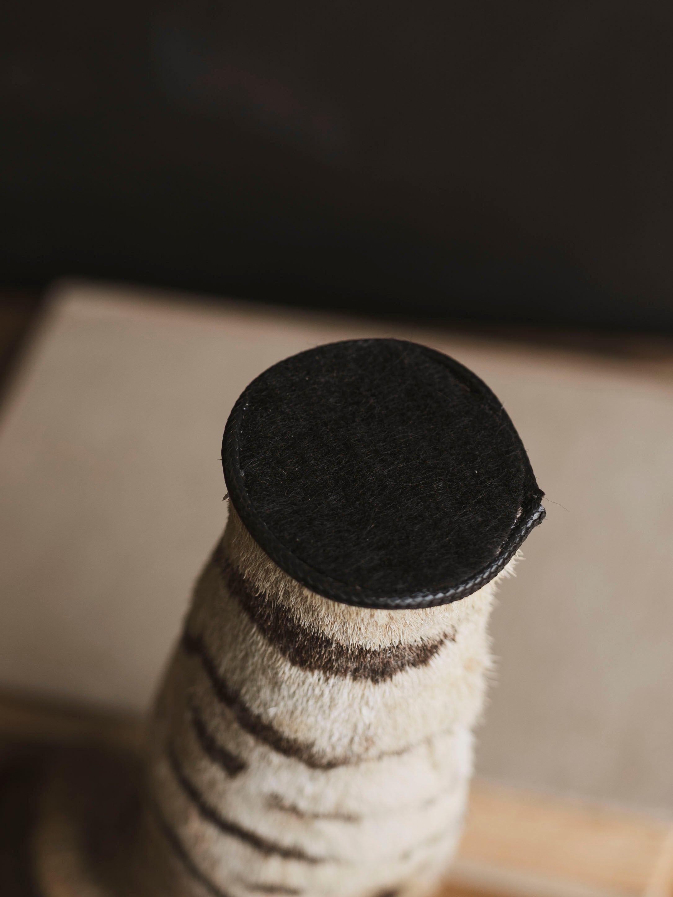 Preserved Zebra Foot, PS126