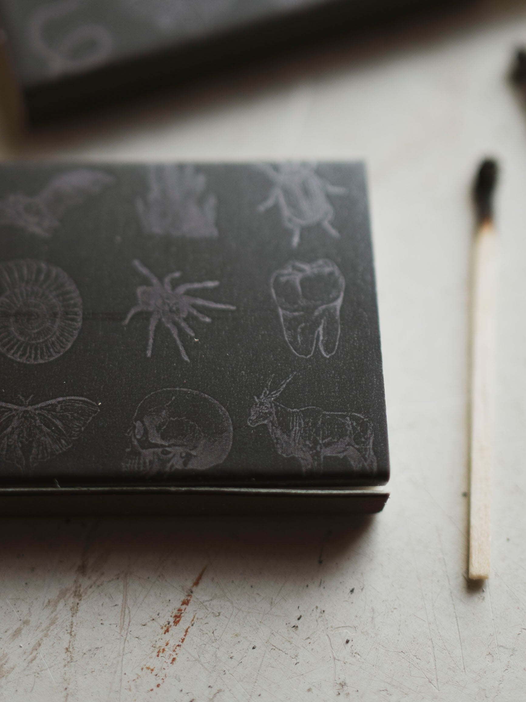 Black Moth Mini Matchbox, HD1207