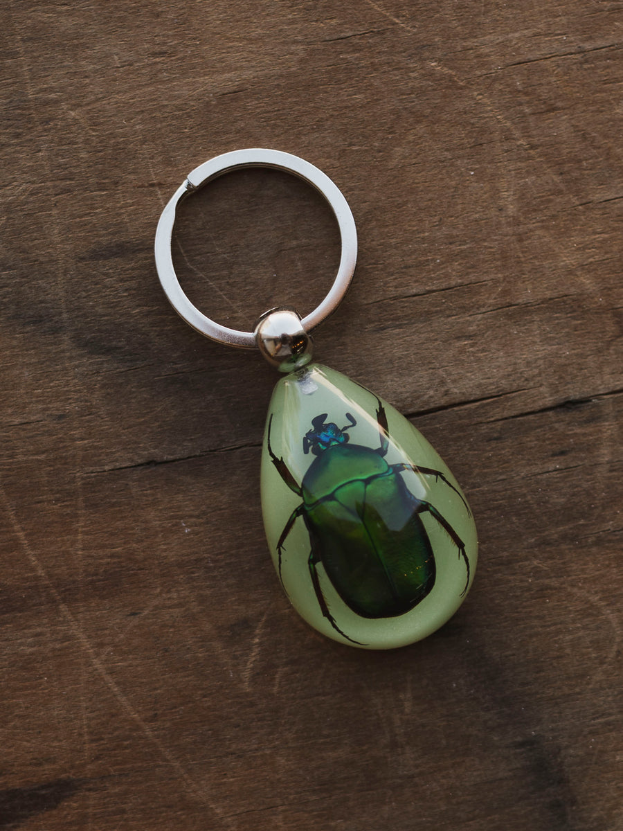 Acrylic Insect Keychain, CA1450 – Black Moth