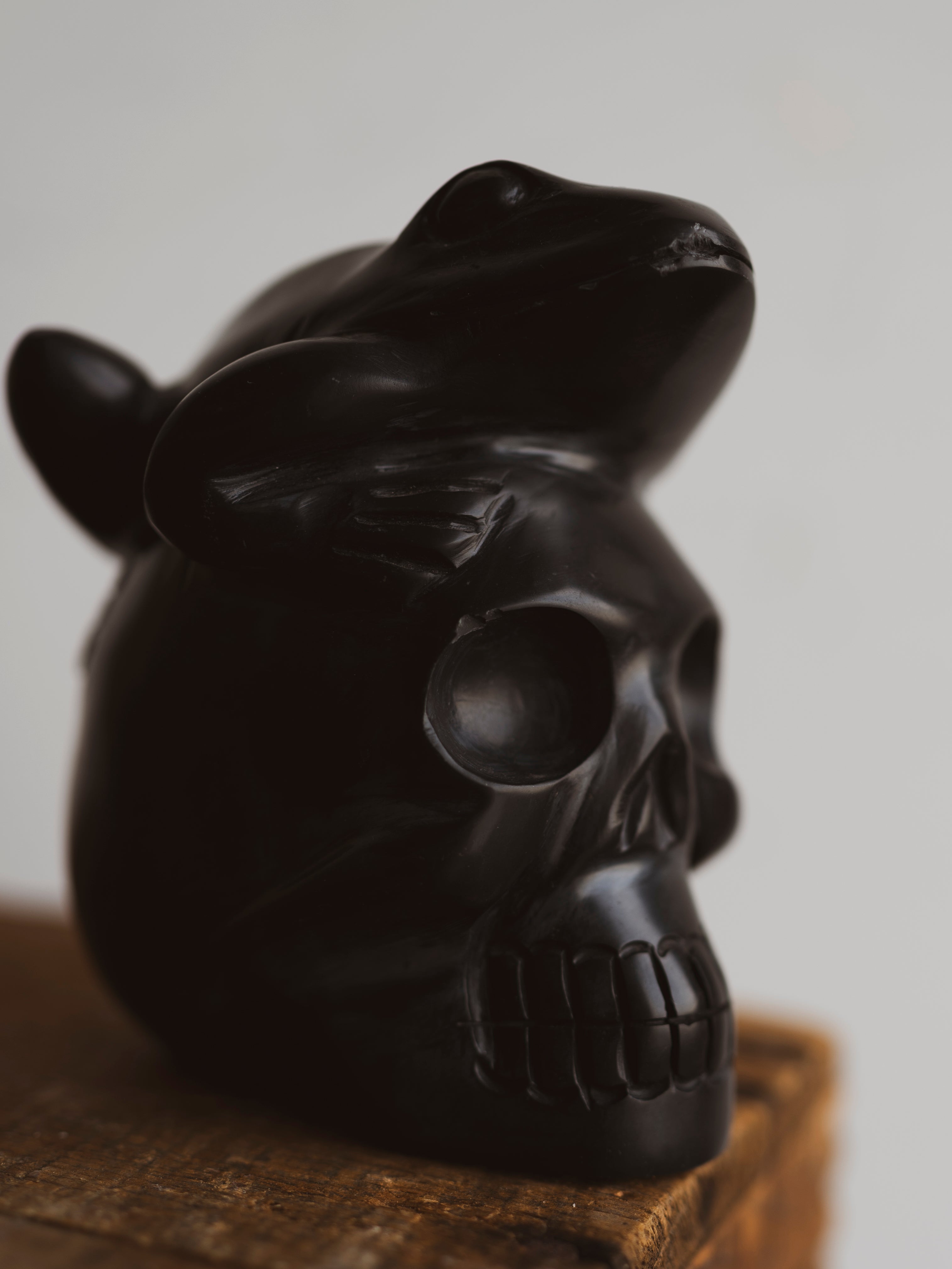 Carved Obsidian Skull With Frog, RM1039