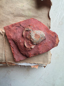 3.75" Fossilized Crab, RM1904