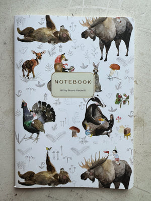 Assorted Nature Notebook, ST670