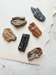 .25-1" Fossilized Woolly Mammoth Tooth Fragment, RM1746