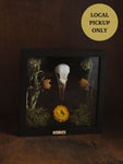 8x8" Framed Crow Skull, SB0126