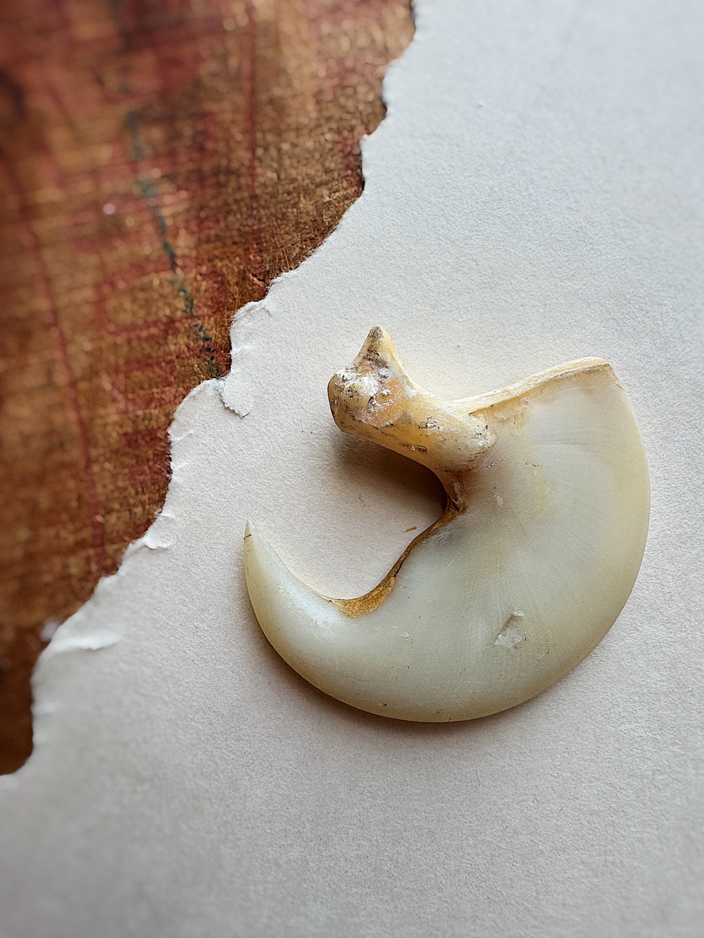 2” African Lion Claw, SB524