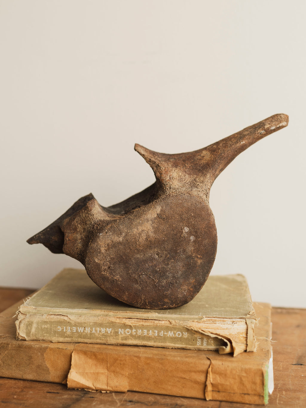 12" Fossilized Whale Vertebrae, RM11