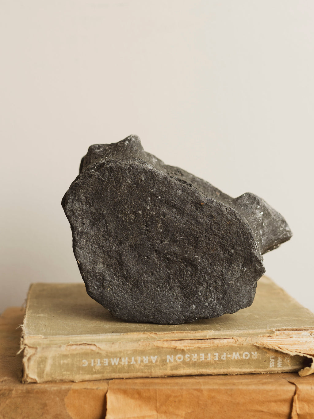7" Fossilized Whale Vertebrae, RM1827