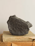7" Fossilized Whale Vertebrae, RM1827