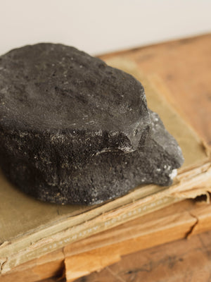 7" Fossilized Whale Vertebrae, RM1827