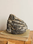 7" Fossilized Wooly Mammoth Tooth, RM1748