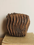 7.5" Fossilized Woolly Mammoth Tooth, RM1575