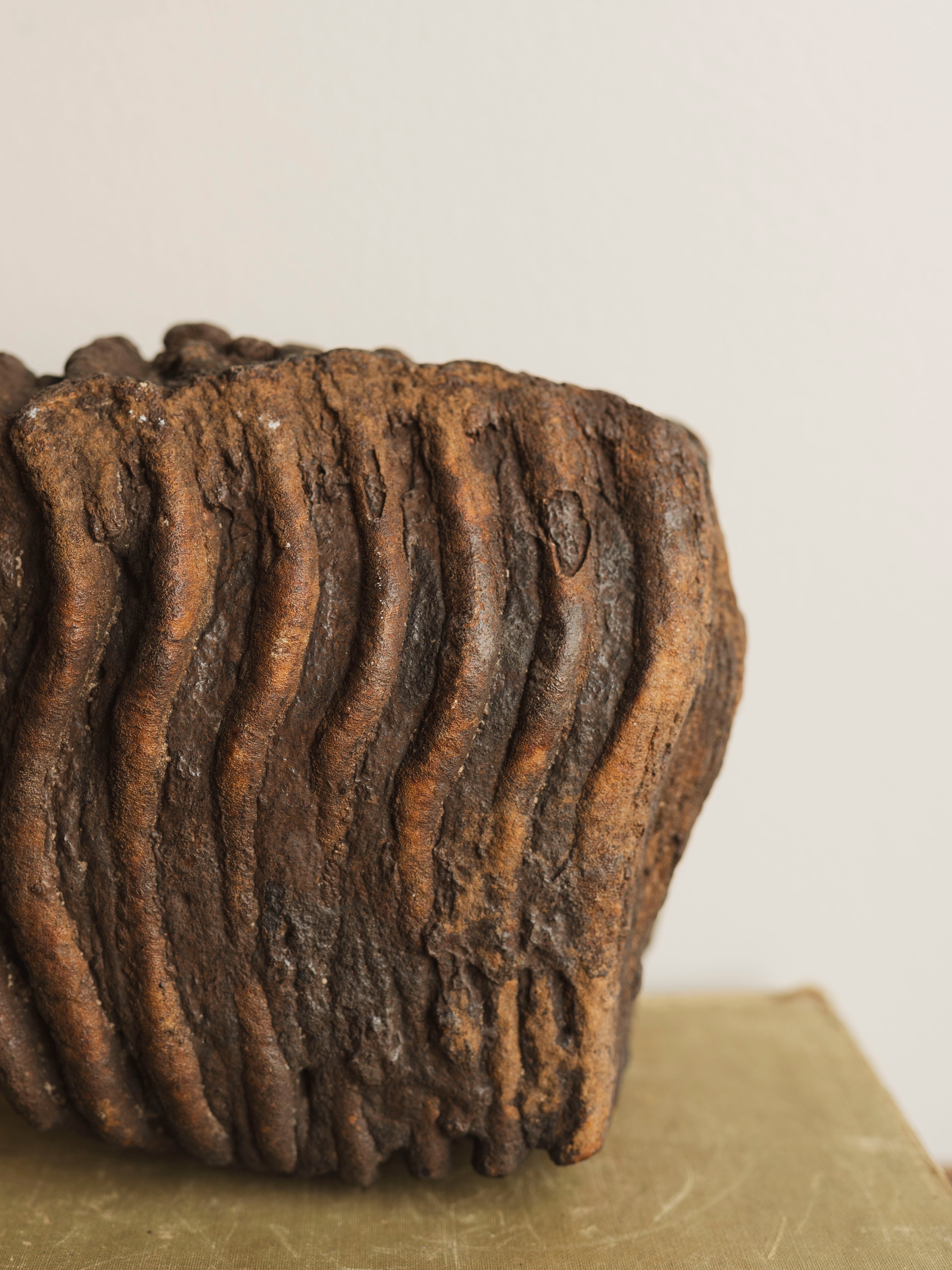 7.5" Fossilized Woolly Mammoth Tooth, RM1575