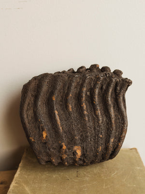 7.5" Fossilized Woolly Mammoth Tooth, RM1575