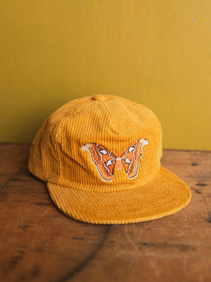Atlas Moth Corduroy Hat, CA1461