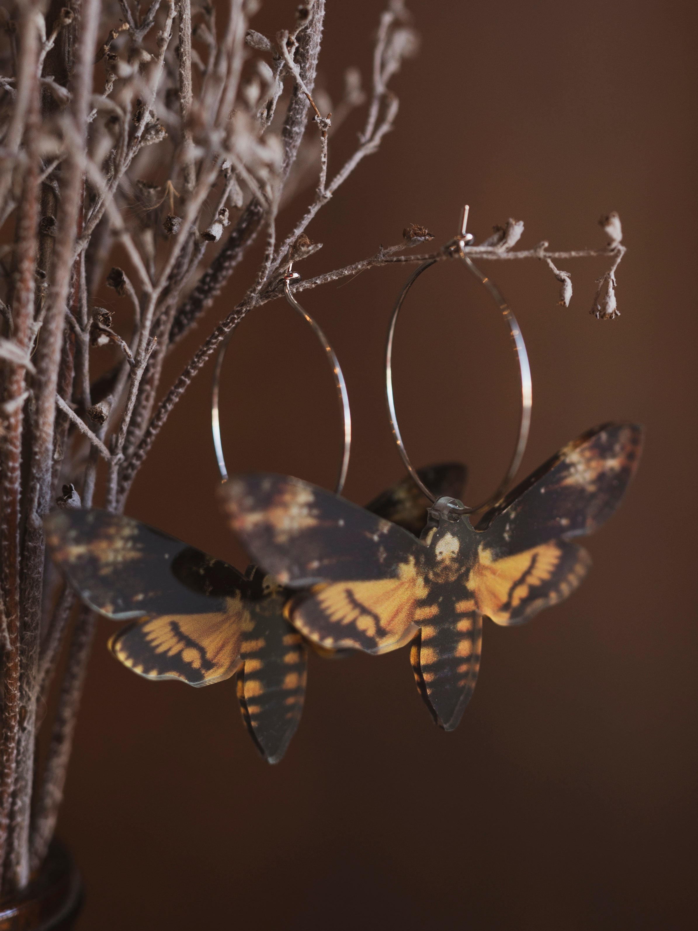 Acrylic Colored Death's Head Moth Earrings, CA1233