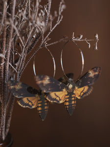 Acrylic Colored Death's Head Moth Earrings, CA1233