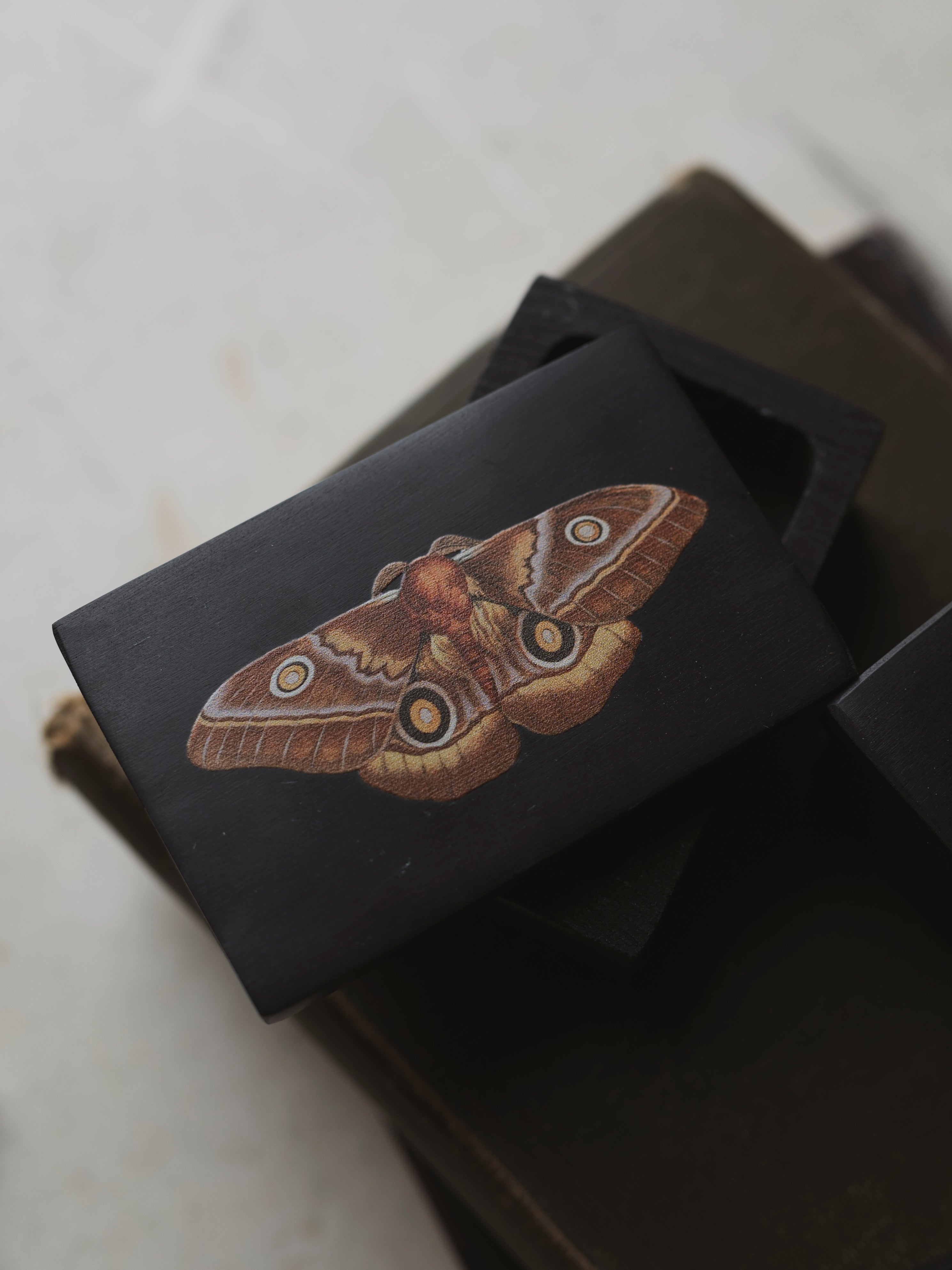 Emperor Moth Soapstone Box, HD084