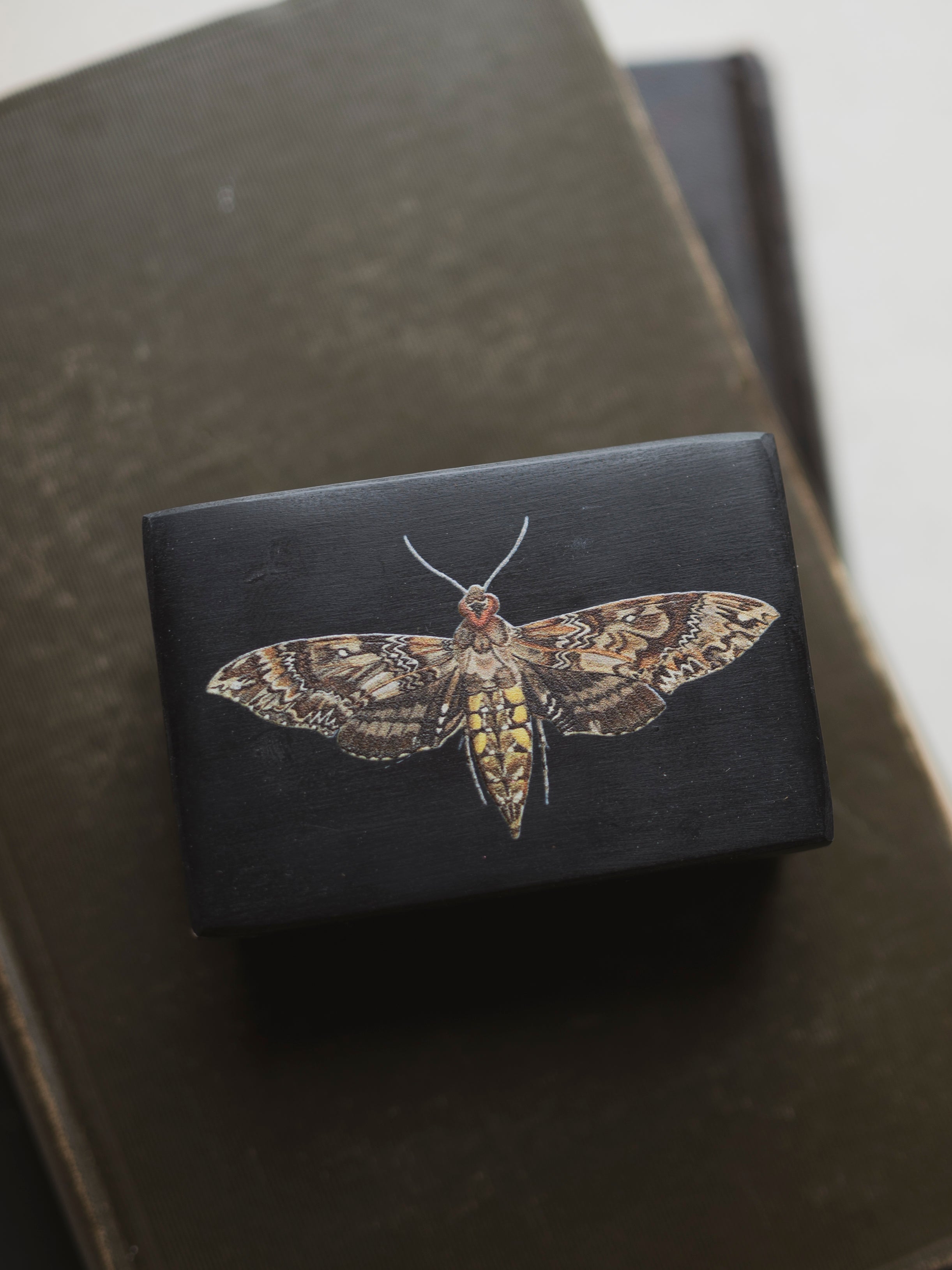 Hawk Moth Soapstone Box, HD085