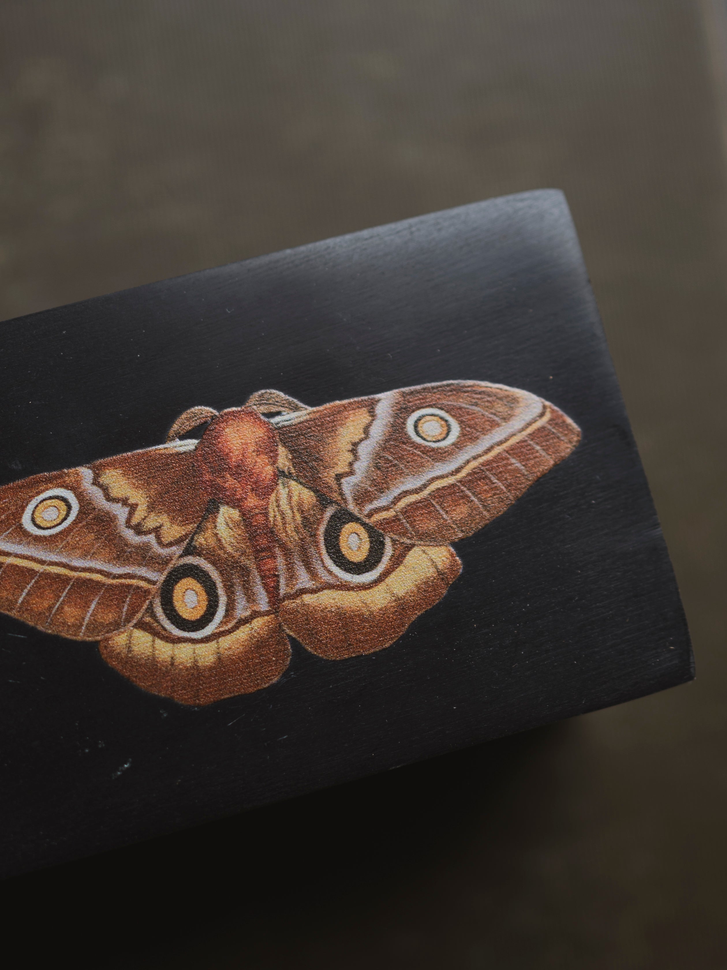 Emperor Moth Soapstone Box, HD084