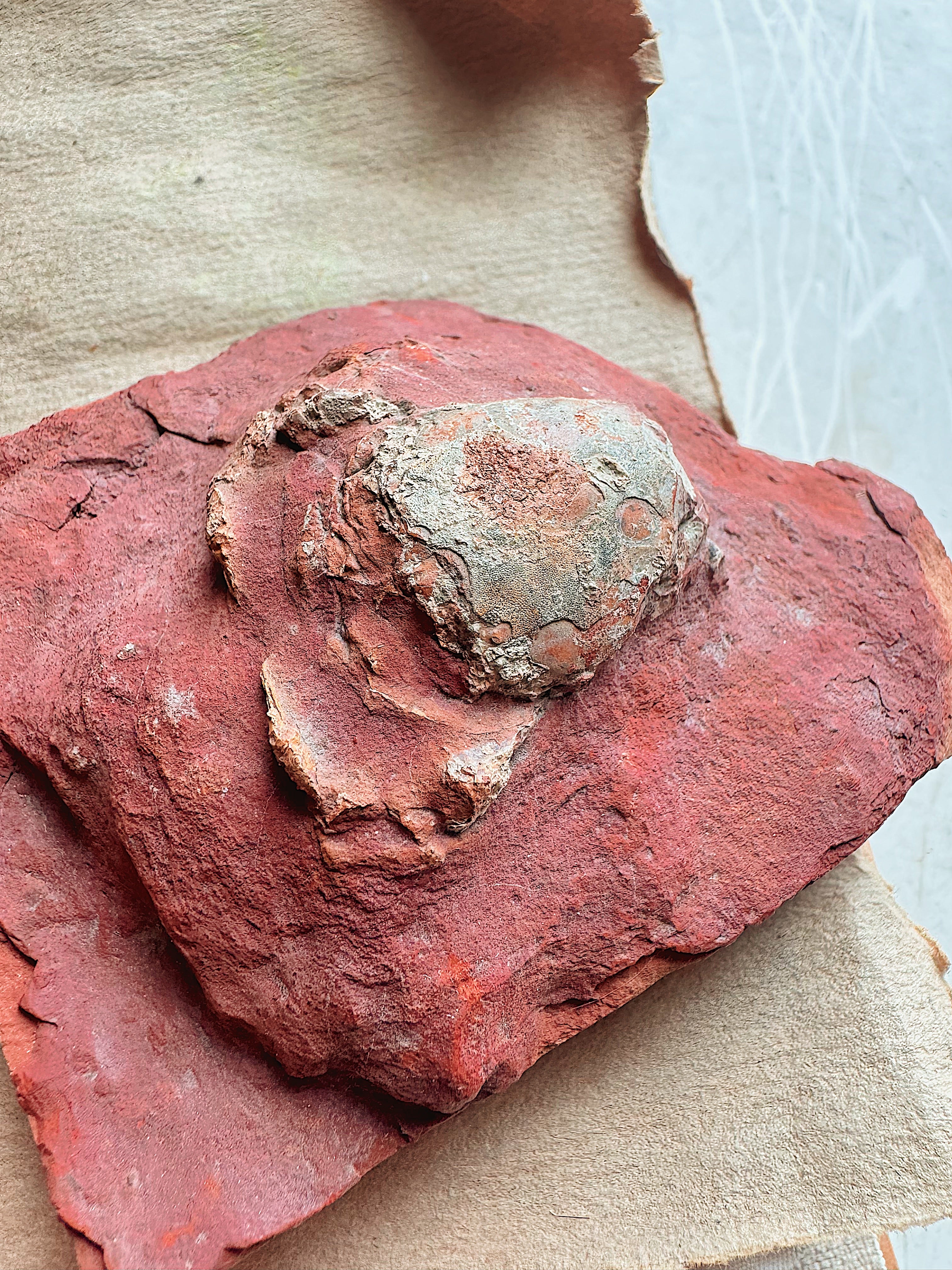 3.75" Fossilized Crab, RM1904