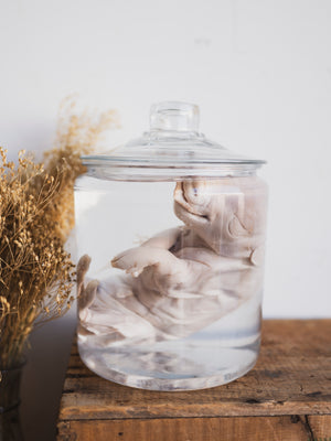 10" Fetal Pig Wet Specimen, PS384