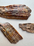 2.75-5.5" Fossilized Woolly Mammoth Tooth Fragment, RM4047