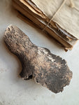 Partial Mineralized Bison Skull Top, RM125