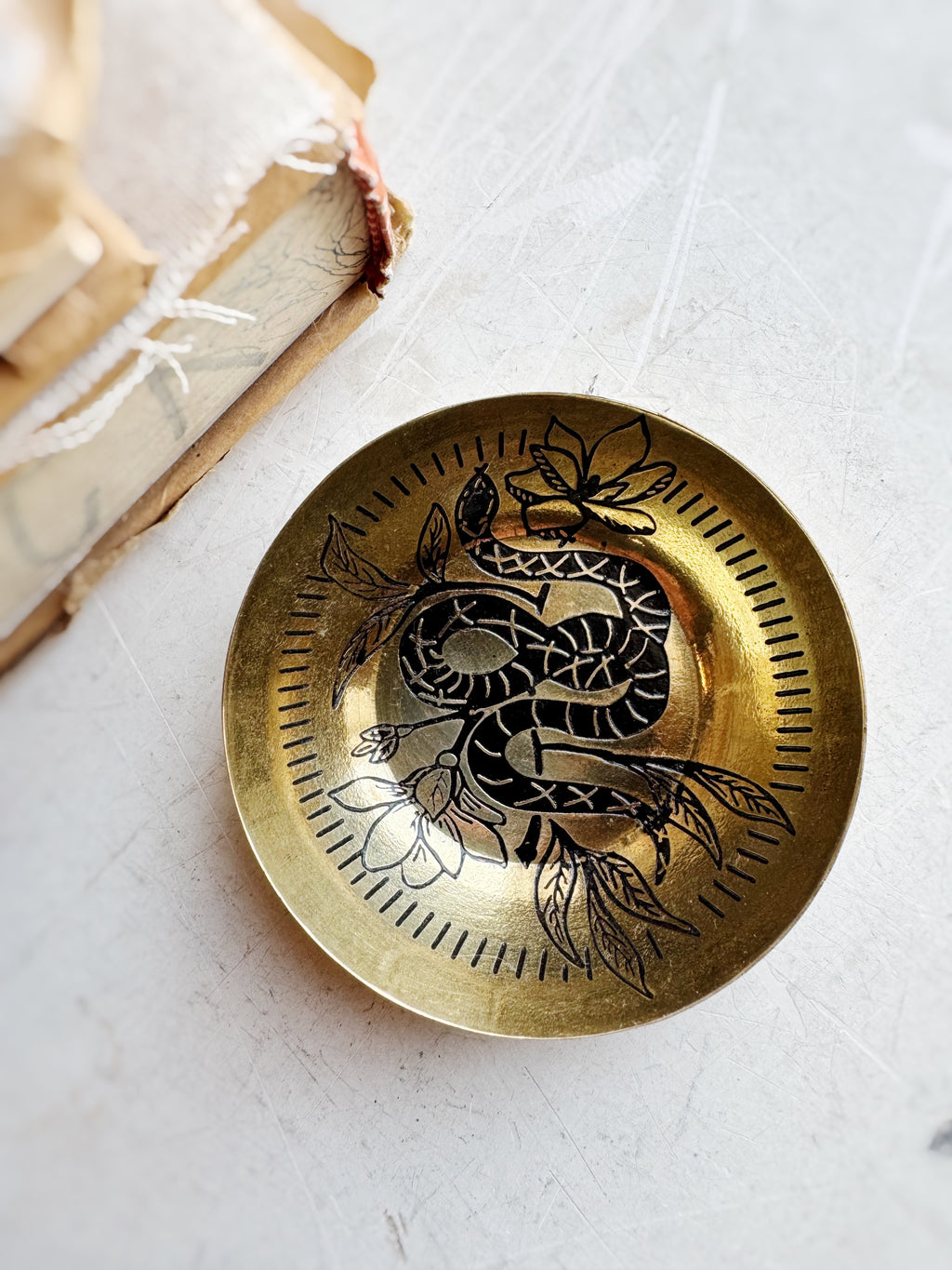 Round Brass Snake Dish, HD1673
