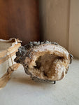 Fossilized Ruck's Pit Clam Shell w/ Dog's Tooth Calcite, RM192